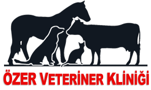biVet